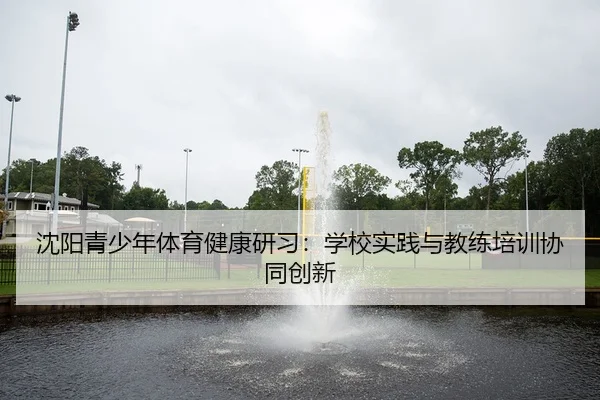 shen-yang-qing-shao-nian-ti-yu-jian-kang-yan-xi-xue-xiao-shi-jian-yu-jiao-lian-pei-xun-xie-tong-chuang-xin-2-982.jpg